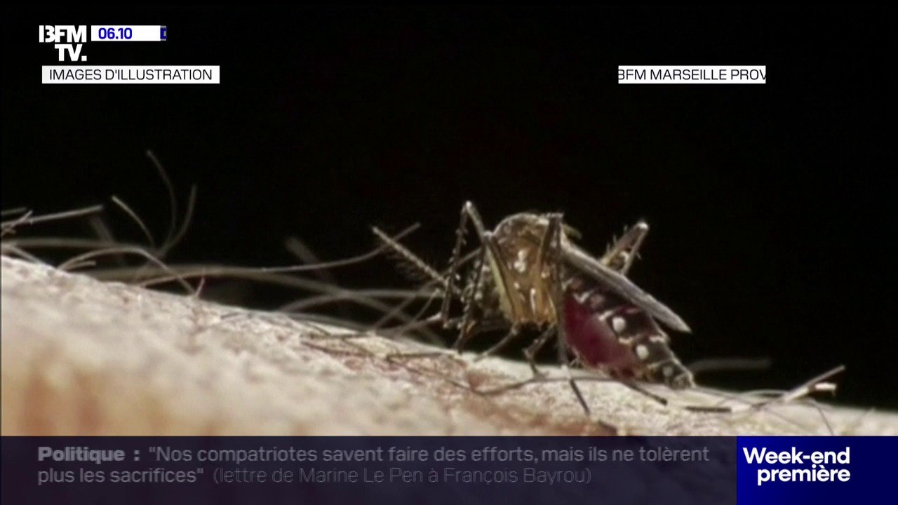 Comment se protéger des piqûres de moustiques?