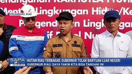 Kebakaran Hutan, Gubernur Riau Tolak Bantuan Luar Negeri: Saya Yakin Kita Bisa Tangani Ini