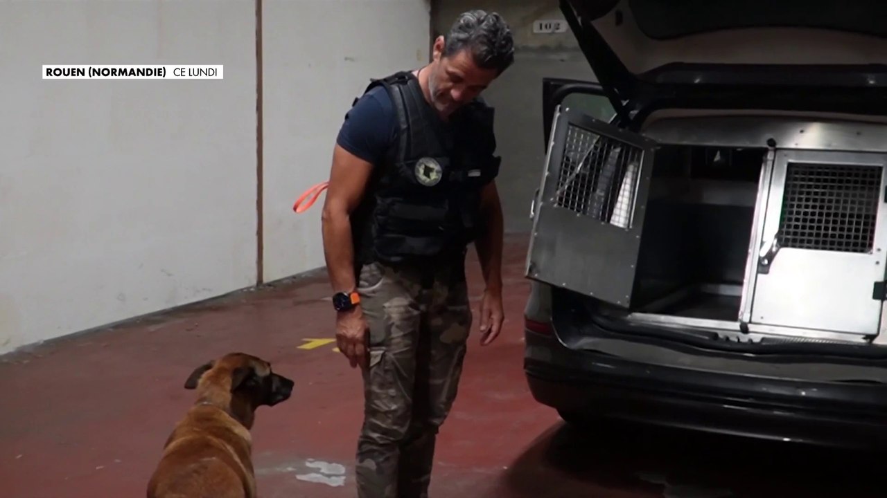 CNEWS au coeur d'une opération cynophile