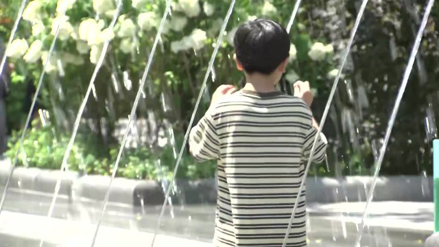 [날씨] 오늘 폭염 절정, 서울 38℃...온열 질환 비상 / YTN