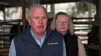 South Australia Labor MP Clare Scriven speaks on fodder transport subsidy scheme