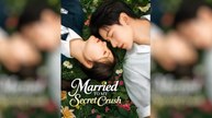 Married to My Secret Crush/ Fated Flash Marriage Chinese Drama