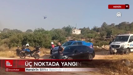 Mersin'in Silifke ilçesinde çıkan orman yangınına müdahale ediliyor