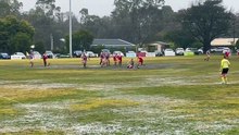 HDFNL: Heathcote v Elmore. July 26, 2025.
