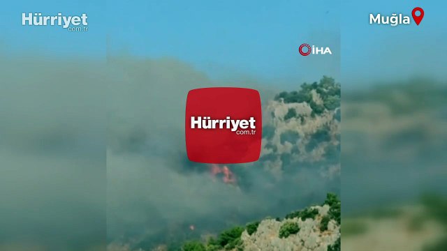 Muğla'nın Ortaca İlçesi Sarıgerme Mahallesi'nde orman yangını