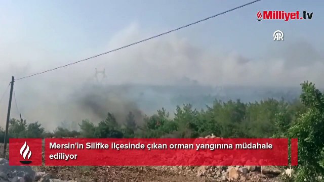 Mersin'in Silifke ilçesinde çıkan orman yangınına müdahale ediliyor