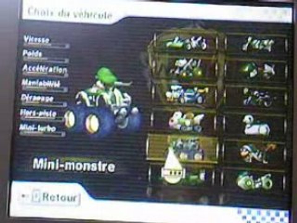 Mario kart wii les personnages