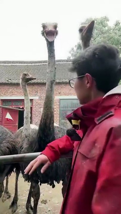 Funny video 😹😹|| Fun to Lot