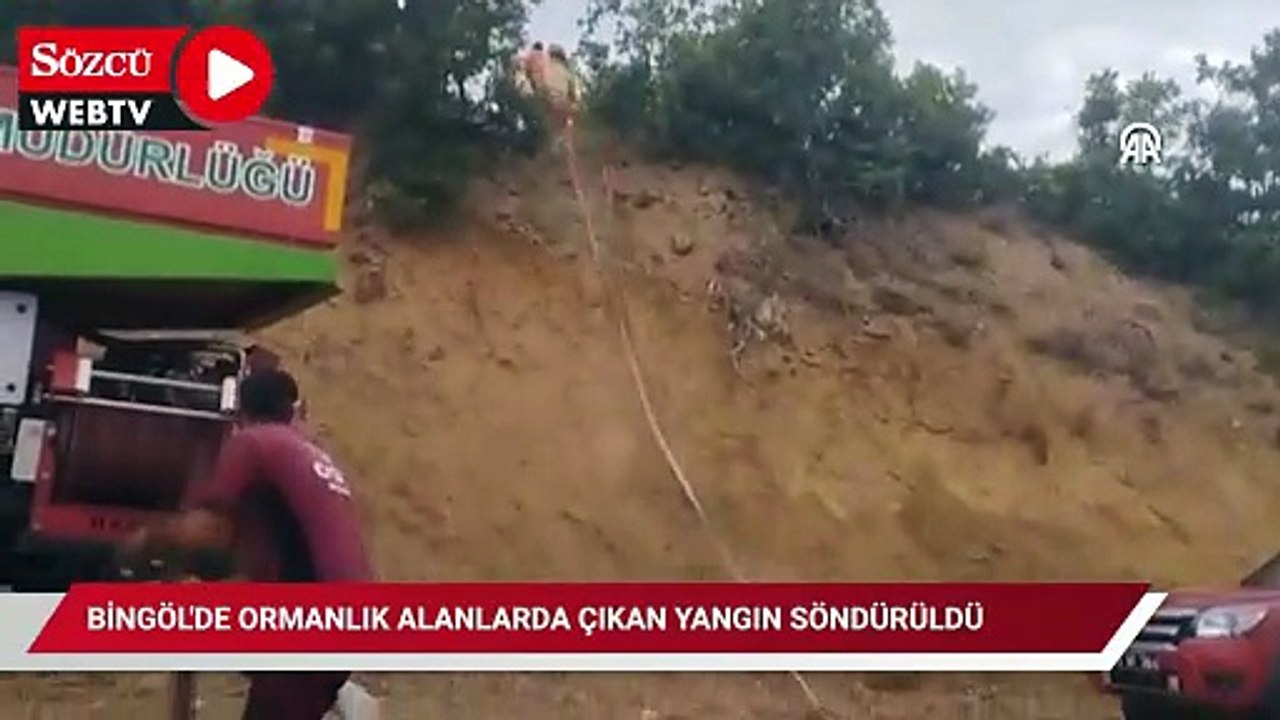Bingöl'de ormanlık alanlarda çıkan yangın söndürüldü