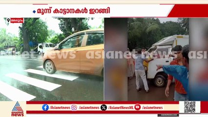 കരുവാരക്കുണ്ട് ഇരിങ്ങാട്ടിരിയിൽ വാഹനം ആക്രമിച്ച് കാട്ടാനക്കൂട്ടം, ഡ്രൈവർക്ക് പരിക്ക്