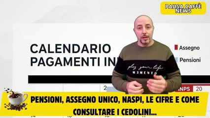Pensioni, assegno unico, Naspi, le cifre e come consultare i cedolini...