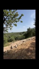 michelemonopoli nostalgia dei nonni