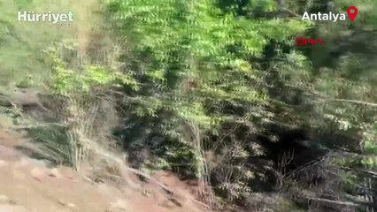 Alevlerle mücadelede son durum! Gazipaşa'daki yangın Anamur'a yaklaştı