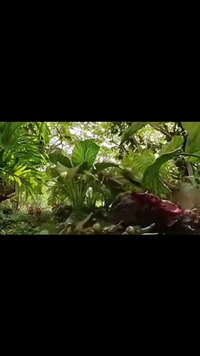 V most dangerous movie 1 see this movie