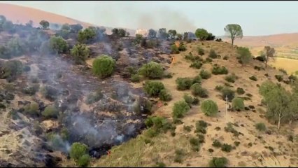 In cenere duemila ettari della riserva di Capodarso, Coldiretti: servono più controlli
