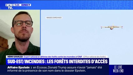 Bouches-du-Rhône en vigilance rouge pour feux de forêt: "En plus des conditions météo, on a bien la végétation qui redevient sensible", affirme Rémi Savazzi (ONF)