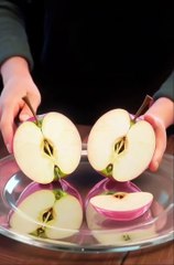 Animals video kids cartoon characters