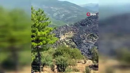 Yaban keçileri yangın sebebiyle doğal yaşam alanlarından kaçarken görüntülendi