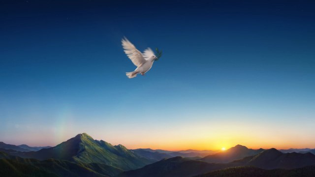 इस Video को आप नहीं देखा पाओगे क्योंकि एक मसीही को कैसे सताया जाता है
