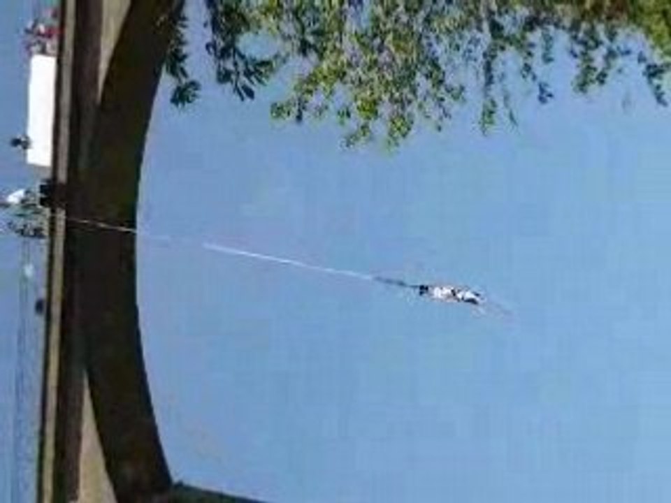 Saut a l'elastique dans les alpes mancelles