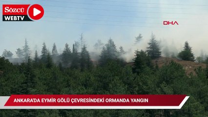Ankara'da Eymir Gölü çevresindeki ormanda yangın