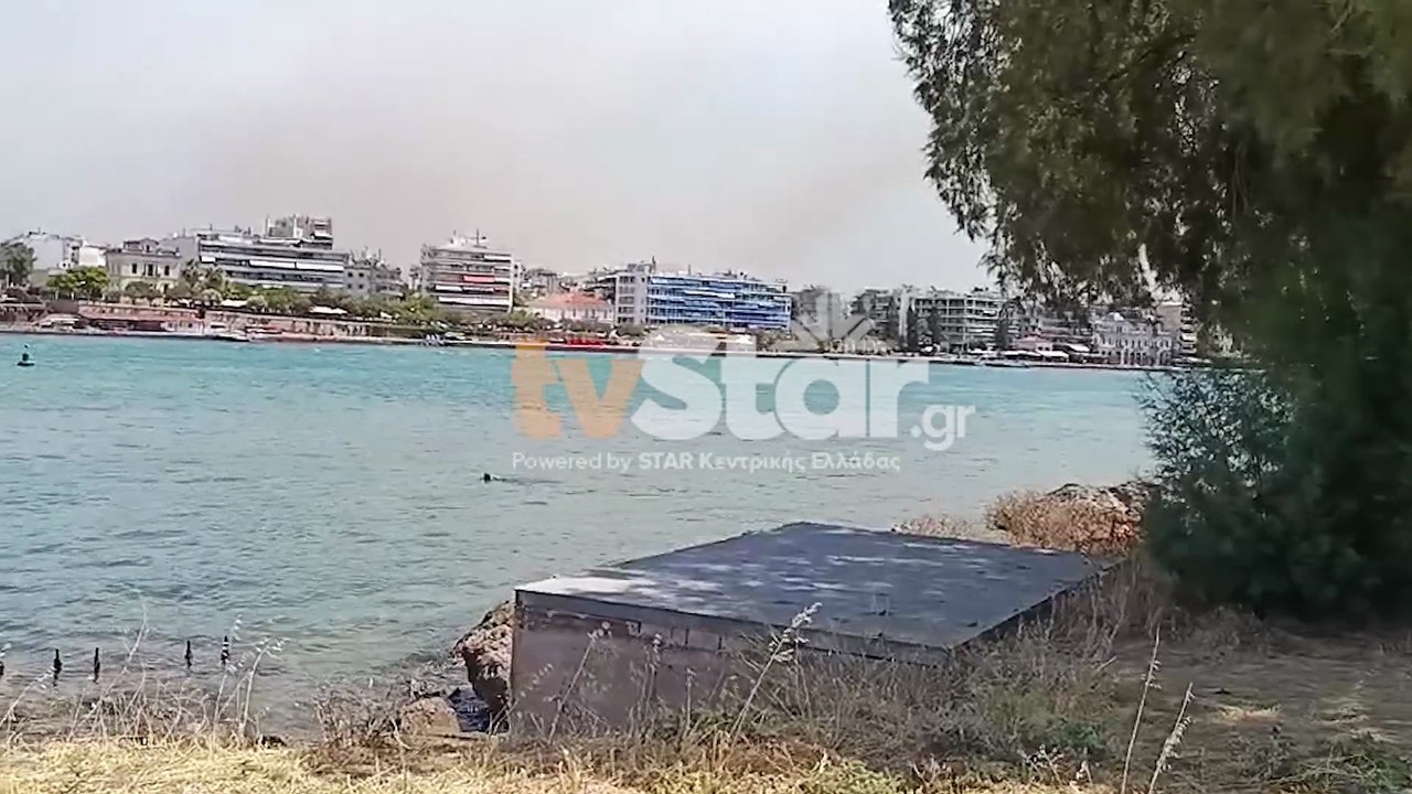 Εύβοια: Μεγάλη φωτιά στην περιοχή Τριάδα - Μήνυ...