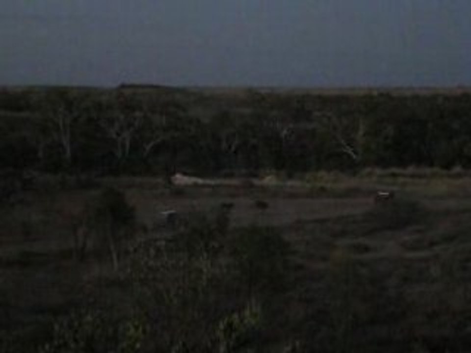 C'est pas Intervilles