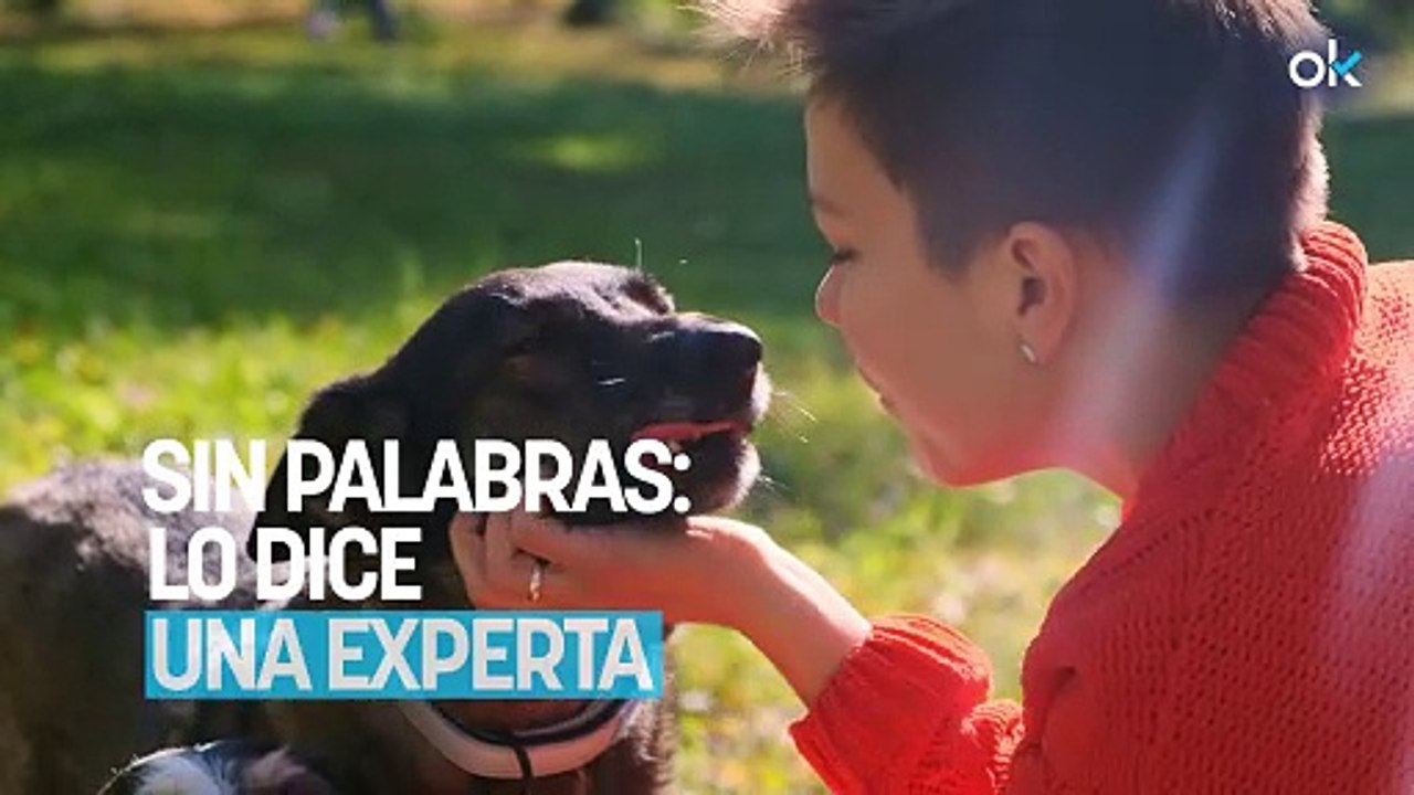 Tu perro no te chupa porque te quiera, la razón te va a dejar sin palabras: lo dice una experta