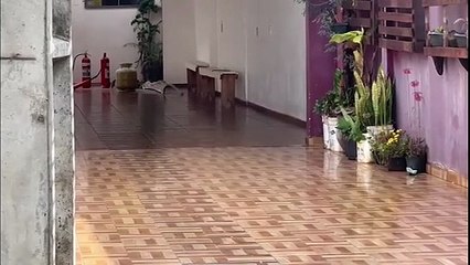 Corpo de Bombeiros é acionado para controlar incêndio no Brasmadeira