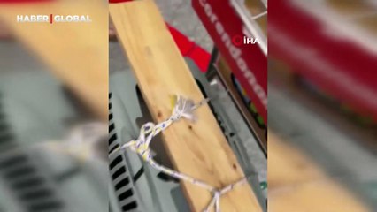 Uçağın kargo bölümüne verdiği evcil hayvanlarını teslim alınca çılgına döndü