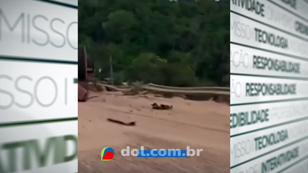 Criança de três anos morre em um acidente registrado no município de Dom Eliseu