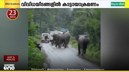 സംസ്ഥാനത്ത് കാട്ടാനയാക്രണത്തിൽ വ്യാപക നാശനഷ്ടം
