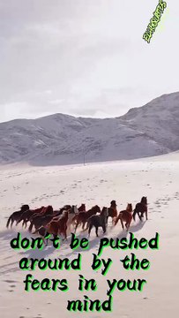 Don't be pushed around by the fears in your mind #roytbennett #echoquotes #viralvideo