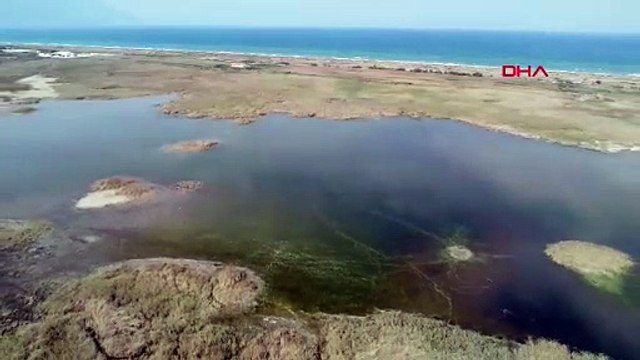 Birkaç hafta önce kuruyan kuş cennetinde şaşkına çeviren manzara
