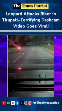 Leopard Attacks Biker in Tirupati—Terrifying Dashcam Video Goes Viral!