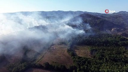 Sakarya-Düzce sınırındaki yangın bölgesi havadan görüntülendi