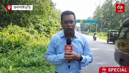 গরুমারায় চওড়া হবে 717 নম্বর জাতীয় সড়ক, ধ্বংসের পথে শতাধিক গাছ