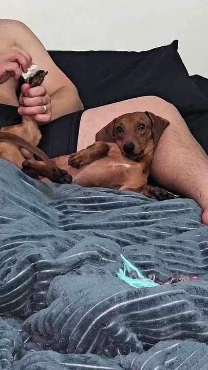 Ayy no ni dios lo mandé 🐕