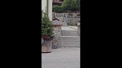 San Cassiano, la volpe cattura un animale da cortile e si dilegua