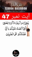 Al-Quran - Surah 2 - Al-Baqara - Ayah 47 | daily islamic tv