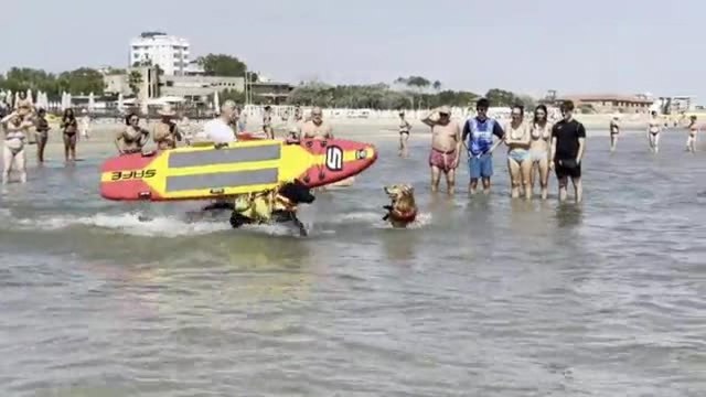 Prove di salvataggio dei cani-bagnino a Riccione: Cleopatra e Goldy promossi a pieni voti