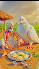 How poor farmers and pigeon work together #animals #firebrigade😱 #facebookviral #jalpari #foryouシ #BunnyAdventure #trend #amazingfacts #animation #indian #bestoftheday #trending #explore  #cartoon #Amazing #shorts #AI #duck #animals @follwer @Highli