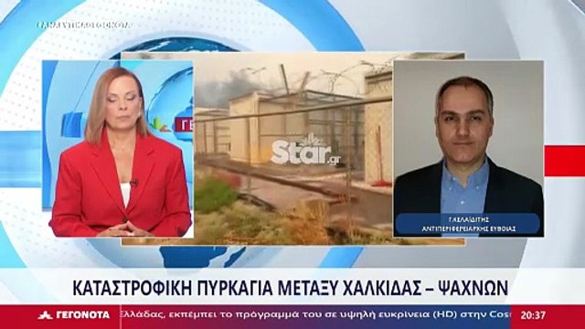 Φωτιά Εύβοια: Καταγγελία Κελαϊδίτη - Ψαθά ότι δεν υπήρξε άμεση επέμβαση εναέριων μέσων