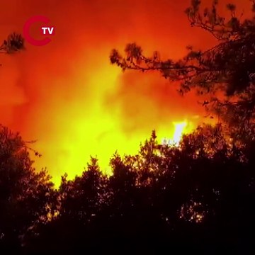 Son durumu Bakan Yumaklı paylaştı 5 kentte orman yangını!