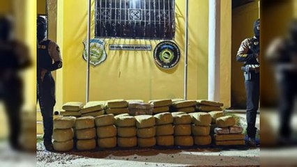 Decomisan 1,303 libras de marihuana en Montecristi