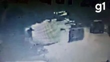 PM mata cachorra e animal perde visão de um olho