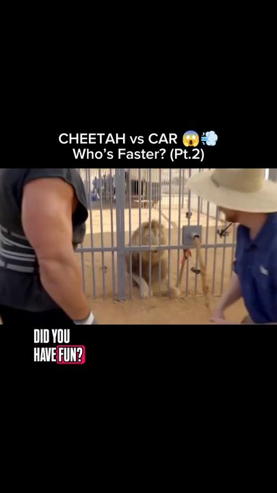“Cheetah vs Supercar 🐆💨 — Who’s faster You won’t believe the end! 😱🔥 .......#funworldkd #ent