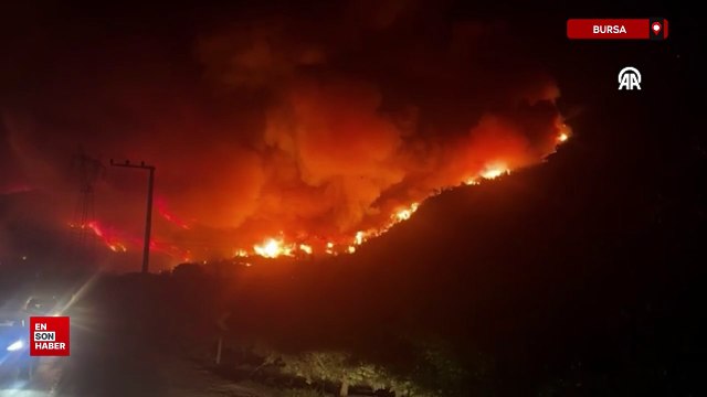 Bursa Gürsu ve Kestel arasındaki ormanlık alanda çıkan yangına müdahale ediliyor