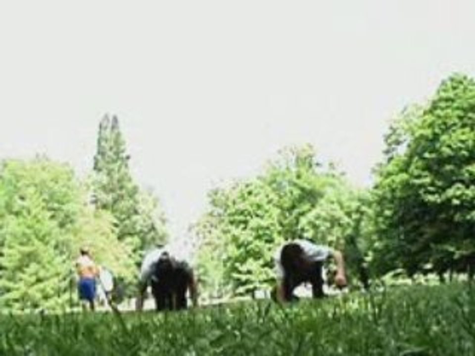 Parkour & acrobaties 05.08'