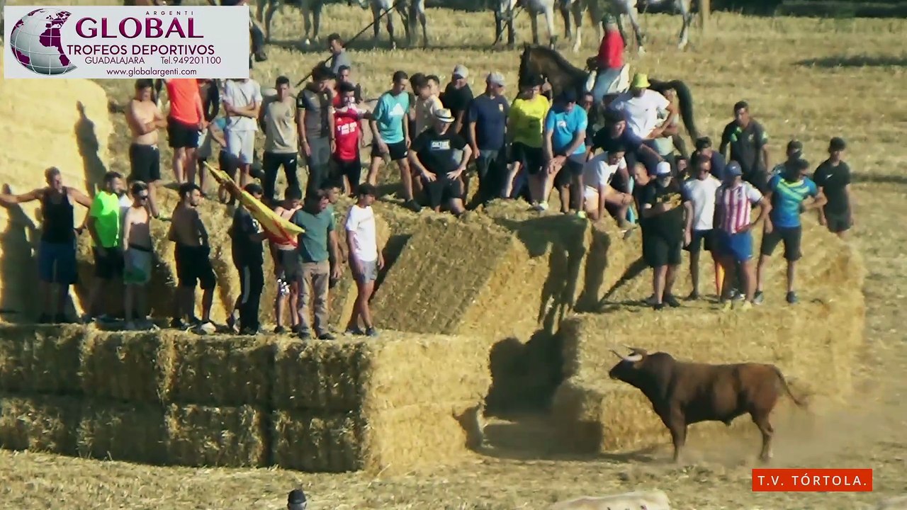 Alarilla encierro  campo 26-07-2025